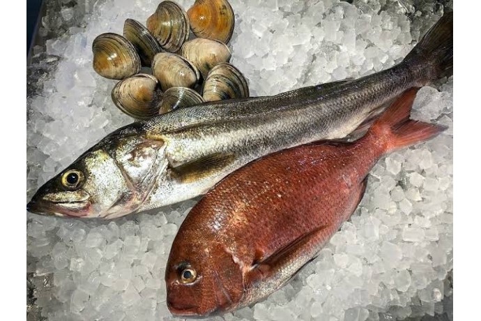 【ダイエットするなら魚を食べよう】